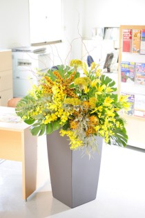 デザイナーズスタンド　Treasure Box（黒）　フレッシュ　5万円コース