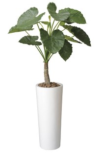 造花アート・観葉植物　アートくわず芋1.8