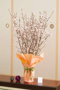 花束・ブーケ　さくら（10本程度）フラワーベース　シリンダー（クリア）付き