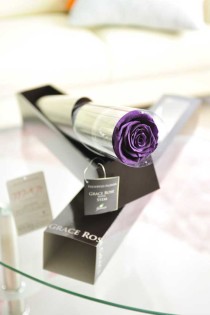 プリザーブドフラワー　Luxury Rose　バイオレット（FL092-18）